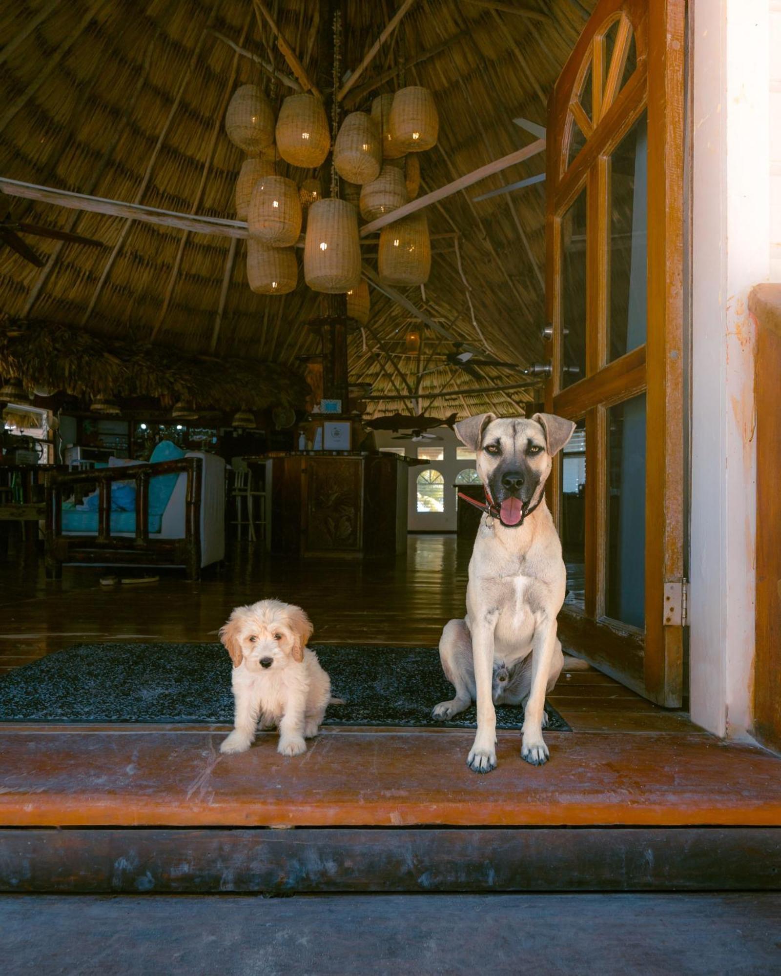 Thatch Caye Resort A Muy'Ono Resort 홉킨스 외부 사진