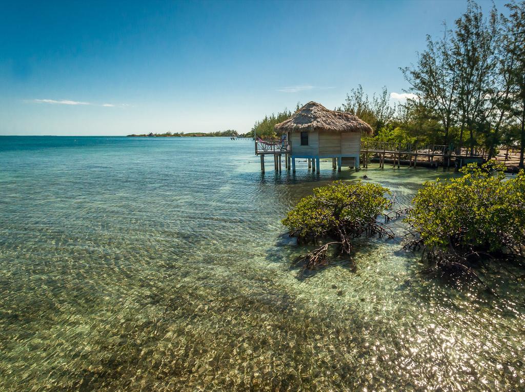 Thatch Caye Resort A Muy'Ono Resort 홉킨스 외부 사진